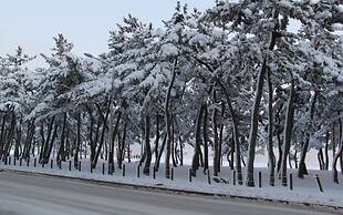 Gangneung Kyungpodae La-Mer Hotel