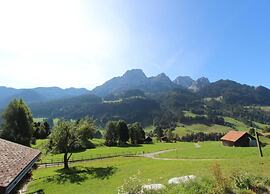 Apartment in Gstaad With Stunning Mountain Views