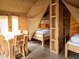 Terrace Apartment With Forest