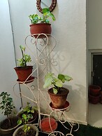 Anand's Aashiyana Homestay