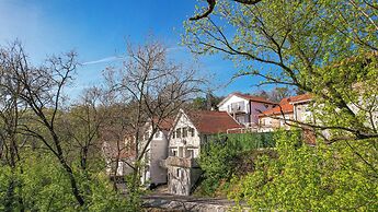 VP Apartment - A Forest Retreat in the Heart of the City!