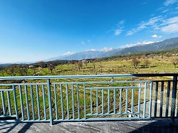 Let's Take it Easy Bir