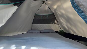 Melo Party Hostel La Barra