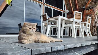 Melo Party Hostel La Barra