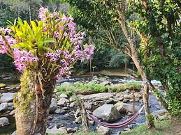 Brilho do Sol