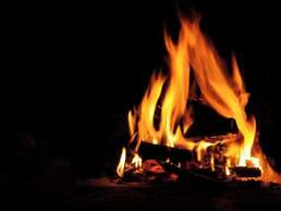 Bimal Farm Home Stay