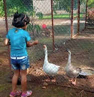 Bimal Farm Home Stay