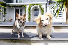 Fox Hill House in Haytor