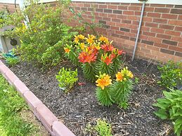 KingBed Hot Tub BBQ Games Hypoallergenic