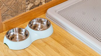 Gapyeong Dream Pool Villa pet Pension