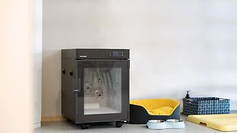 Gapyeong Dream Pool Villa pet Pension