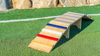 Gapyeong Dream Pool Villa pet Pension