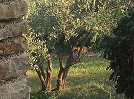 Villa Bella