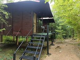 Wilderness camp Resort Pench