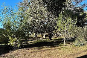 Domaine de l'Aven