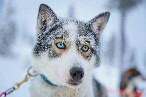 Wilderness Hotel Saariselkä