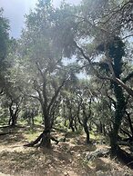 Villa Elysium Parga Luxury Detached Property in Private Grounds