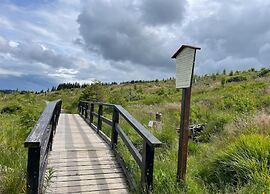 Ferienhauser im Schierke Harzresort, Schierke
