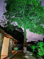 Rio celeste poshtel Tayrona