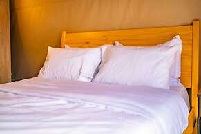 Urban Glamping Oasis: Comfort & Adventure Combined