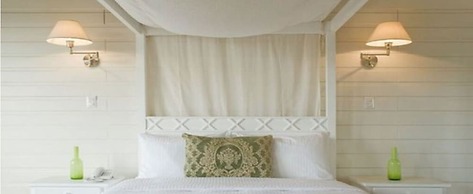 Asclepios Wellness & Healing Retreat