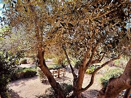 Alencio Panorama Residence