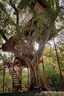 Six Degrees Off-Grid