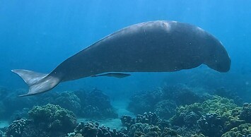 Six Degrees Off-Grid