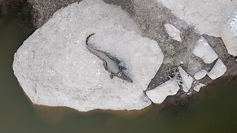 Sterling Ratan Villas Jawai