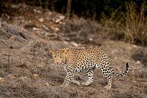 Sterling Ratan Villas Jawai