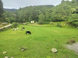 Simba Jungle Lodge, Binsar Wildlife Sanctuary