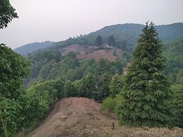 Simba Jungle Lodge, Binsar Wildlife Sanctuary