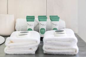 Zen Aqua Vista Workspace BBQ Private Lawn