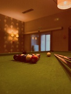 Hotel Borowiecki