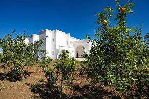 Dar El Molk Concept Hotel and Spa