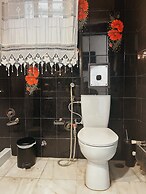 Unique Sunlit House Overlooking the Acropolis