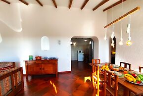 Lagos High Point Nature 2 by Homing