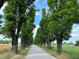 AGRITURISMO LE CORTI DELLA GUALDANA
