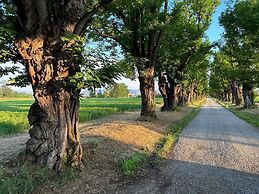 AGRITURISMO LE CORTI DELLA GUALDANA