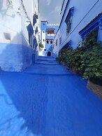 aline hostel
