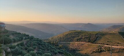 PALÁCIO NOVA  SEARA  2503 -AL