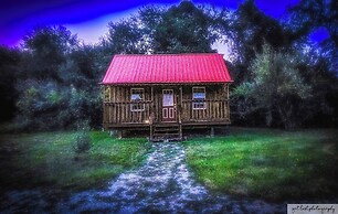 Cozy Cabin