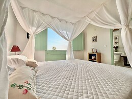 Blow Show Casa III Guest House