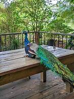 Quinta Pavo Real by Acomodo