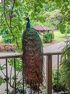 Quinta Pavo Real by Acomodo