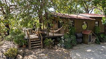 Quinta Pavo Real by Acomodo