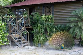 Quinta Pavo Real by Acomodo