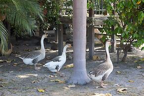 Quinta Pavo Real by Acomodo