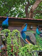 Quinta Pavo Real by Acomodo