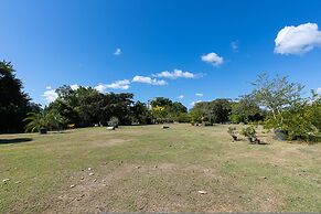 Quinta Pavo Real by Acomodo